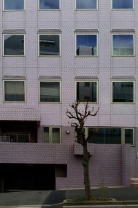 01(20150102_123234)レンズ補正歪み-2垂直-15水平+10縮小80％・トリミング縮小600×900・レンズ補正垂直-7水平+5・トリミング590×885・露光量ガンマ0.67・自然な彩度+25・明るさ-25