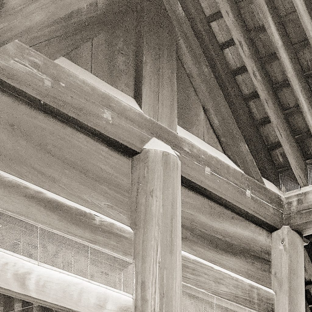 柱頭 山本成一郎設計室