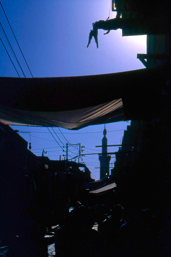 鰐 山本成一郎設計室