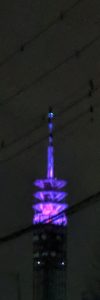 01(MVIMG_20181216_174217)トリミング300×900・露光量ガンマ0.85・明るさ-12コントラスト+25・露光量ガンマ0.85